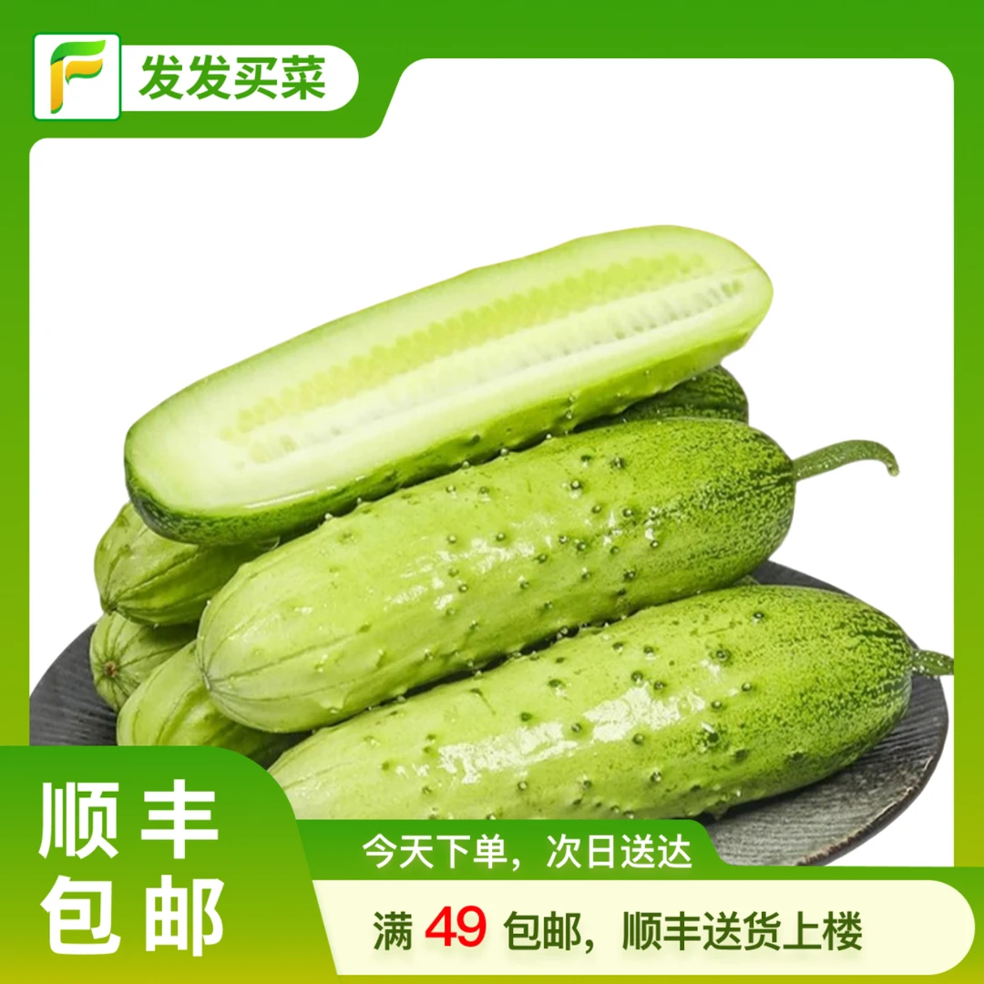 发发旱黄瓜0.6-0.8斤/份（2根）黄瓜