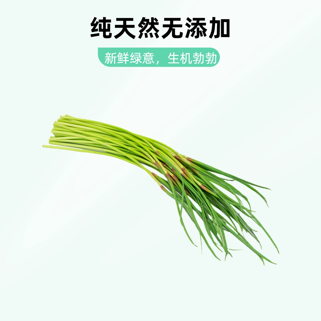 河南中牟新鲜蒜苔现抽现发 产地直发