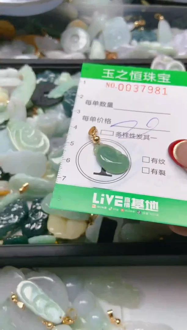 【闪购商品】翡翠颈饰未镶嵌闪购0037981