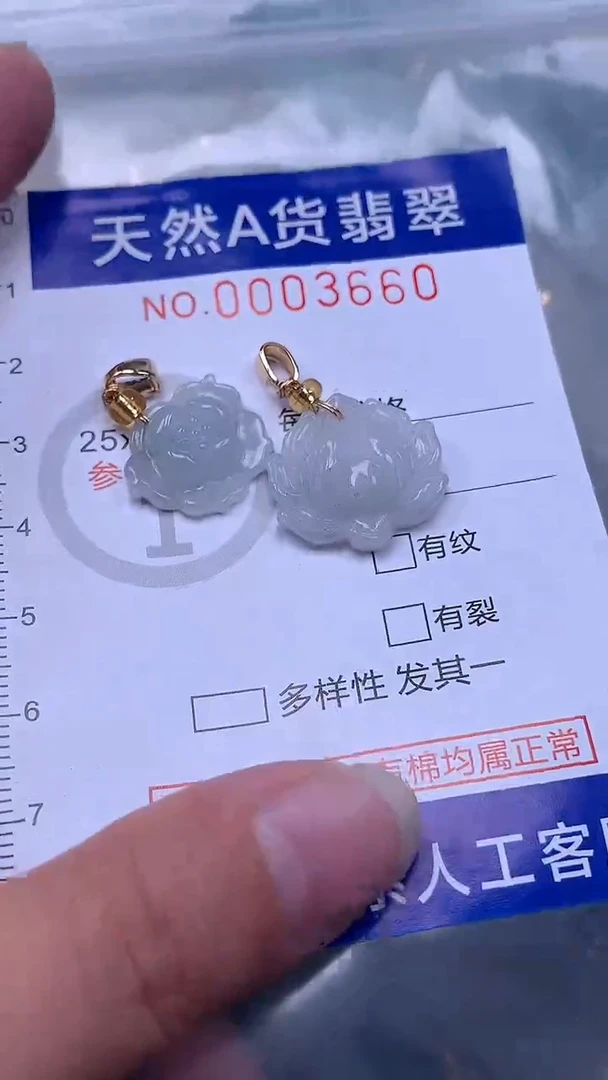 翡翠未镶嵌吊坠(不含链)1