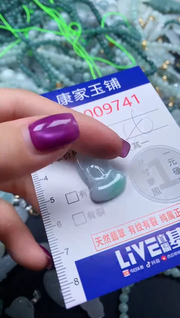 颈饰未镶嵌翡翠9741
