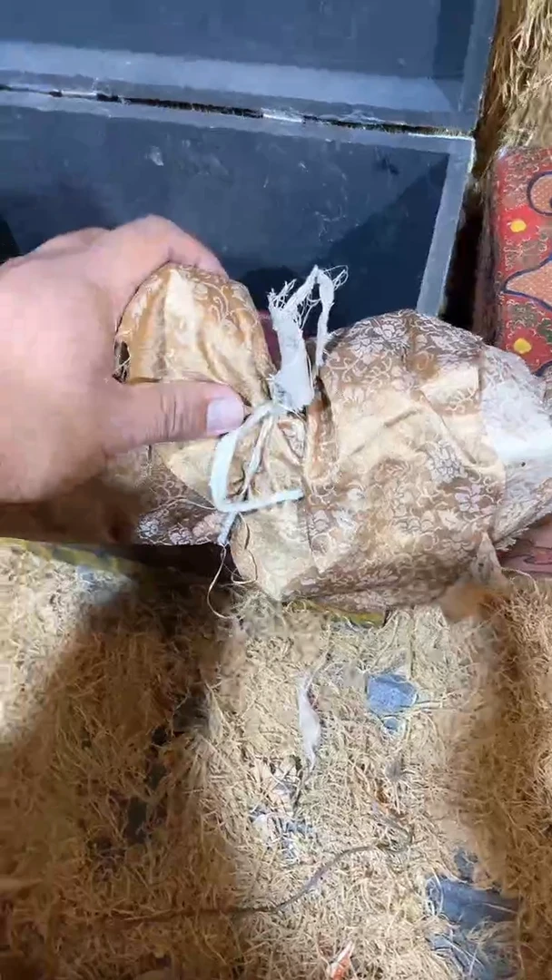 木闪购链接木（佳佳甄选）