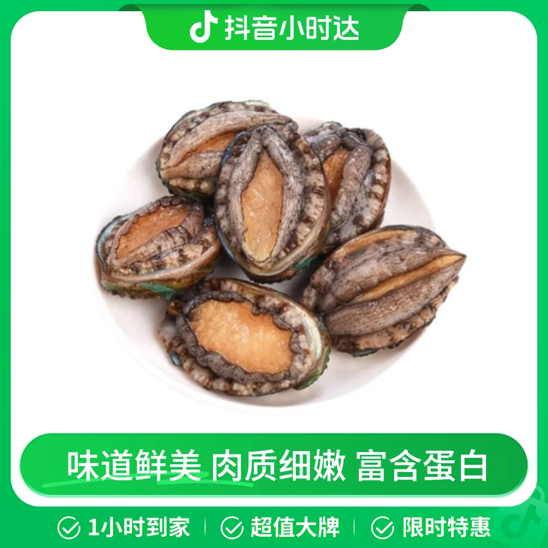 石头鲍鱼1个   鲜活鲍鱼
