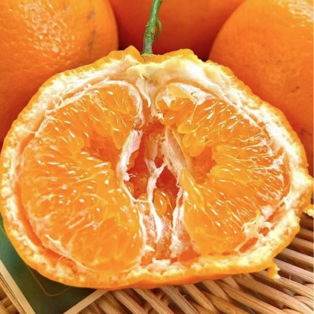 （散装）好吃的四川春见耙耙柑四斤（净重4斤左右/份）