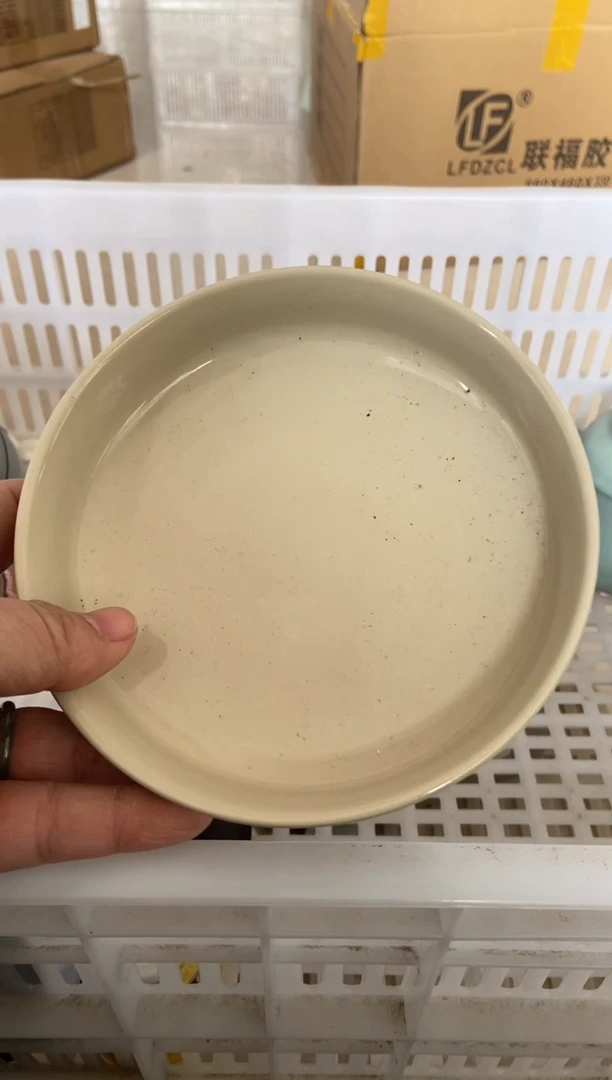 杯无运费险有瑕疵的摄影的产品有使用过的痕迹有点脏介意勿拍