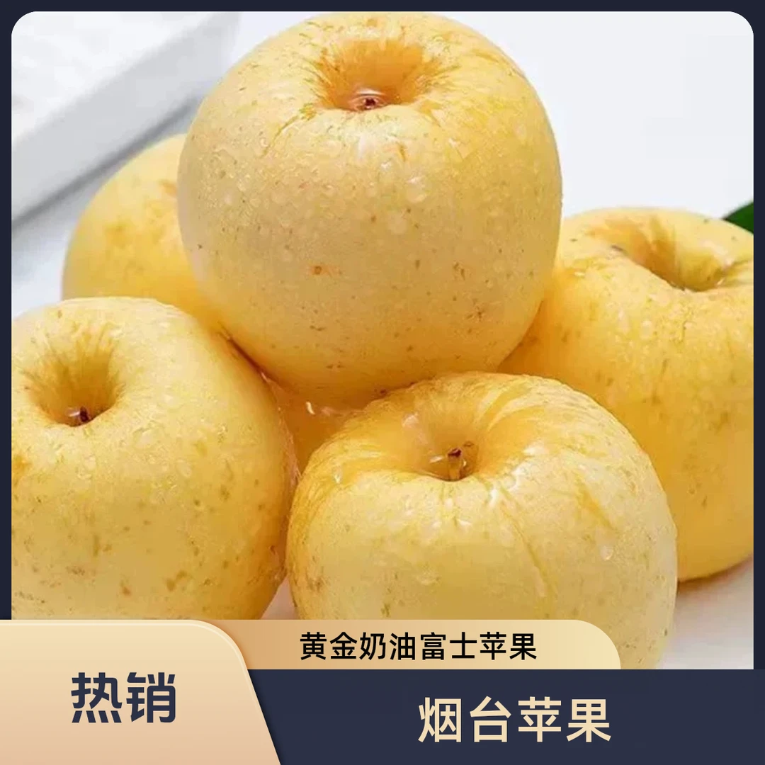 山东烟台黄金奶油富士甜苹果新鲜脆甜粉面当季时令水果现摘现发