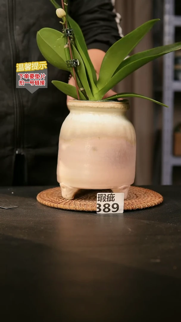 瓷片389瑕疵款，口约9  高约15