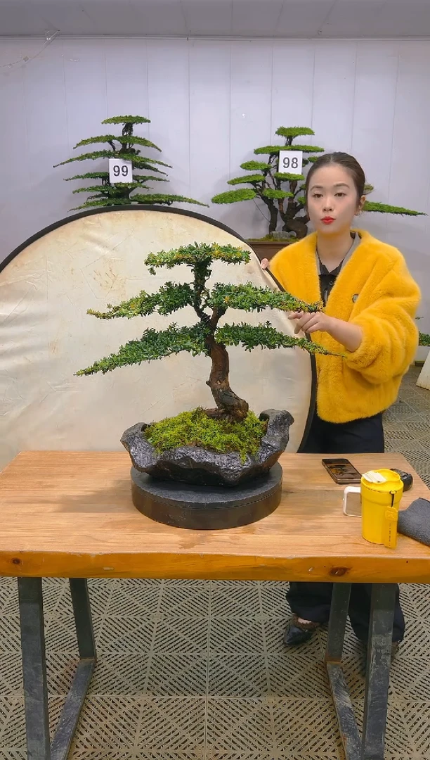 无花朵一物一拍一物一拍