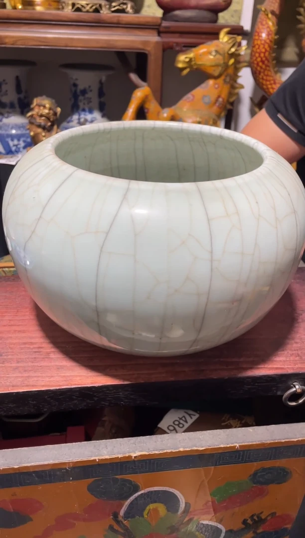 瓷片主播推荐精美好物