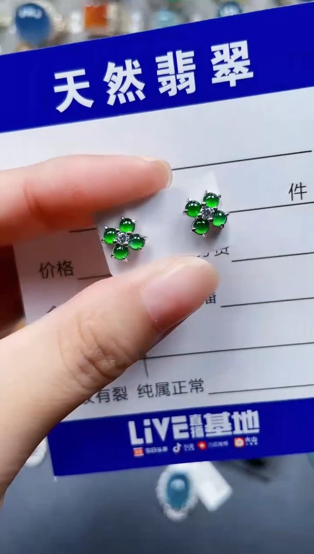 银S925镶嵌翡翠耳饰679