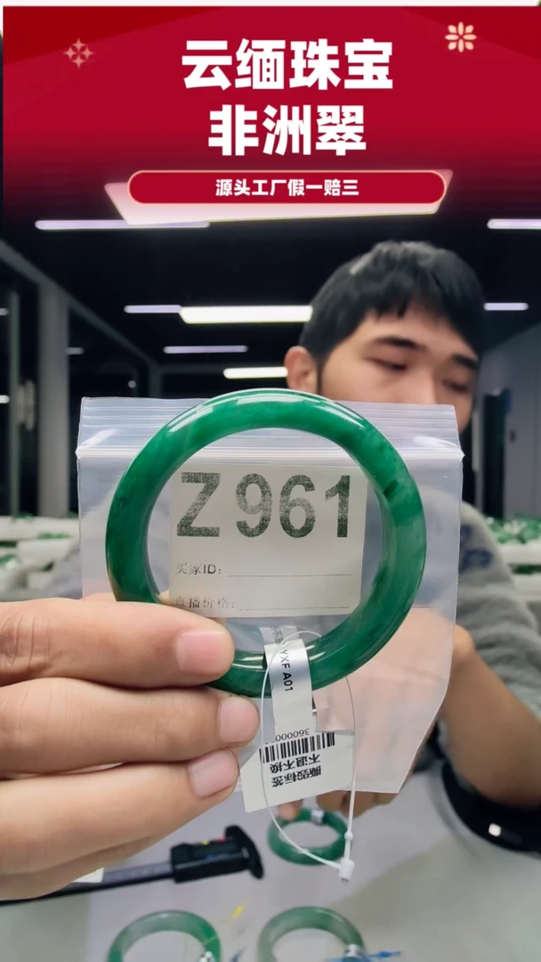 未镶嵌手镯石英质玉（非洲翠）59圈口Z961