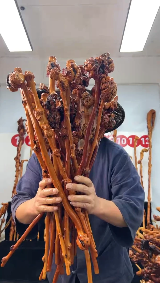 黑果木其他黑果木373