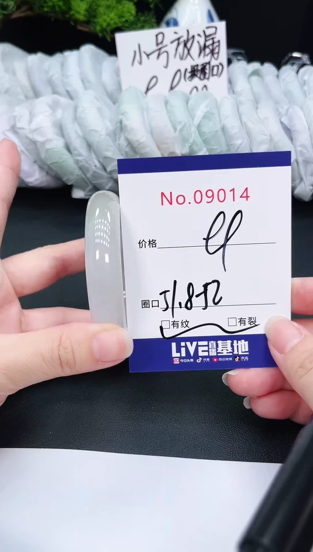 未镶嵌手镯翡翠9014