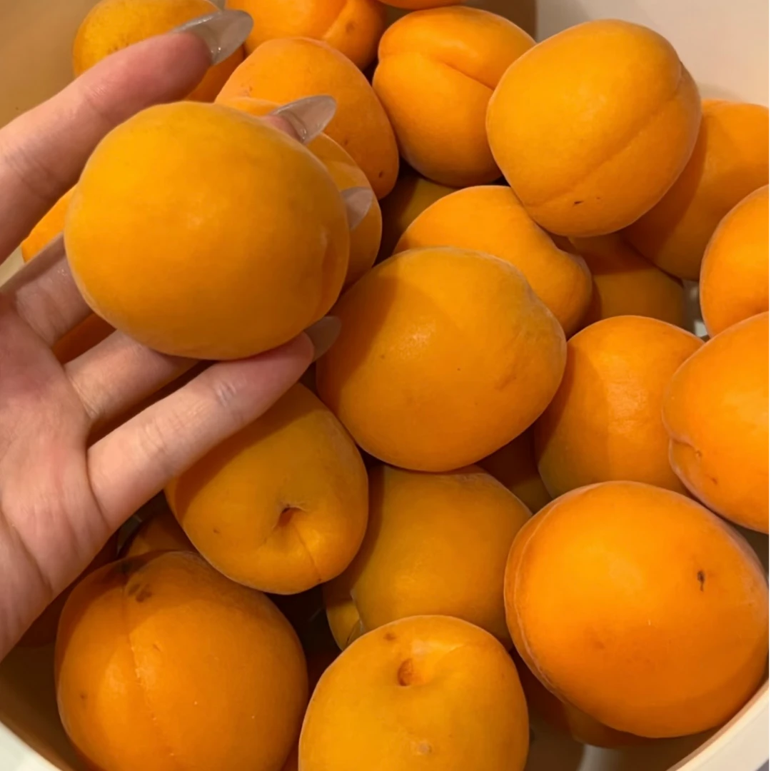 大杏子5.8元/份 约500g