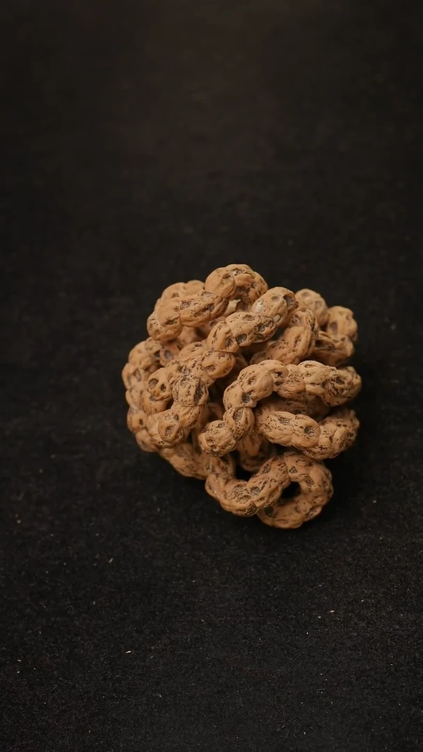 手串柏香籽/百香籽满鬼大肠