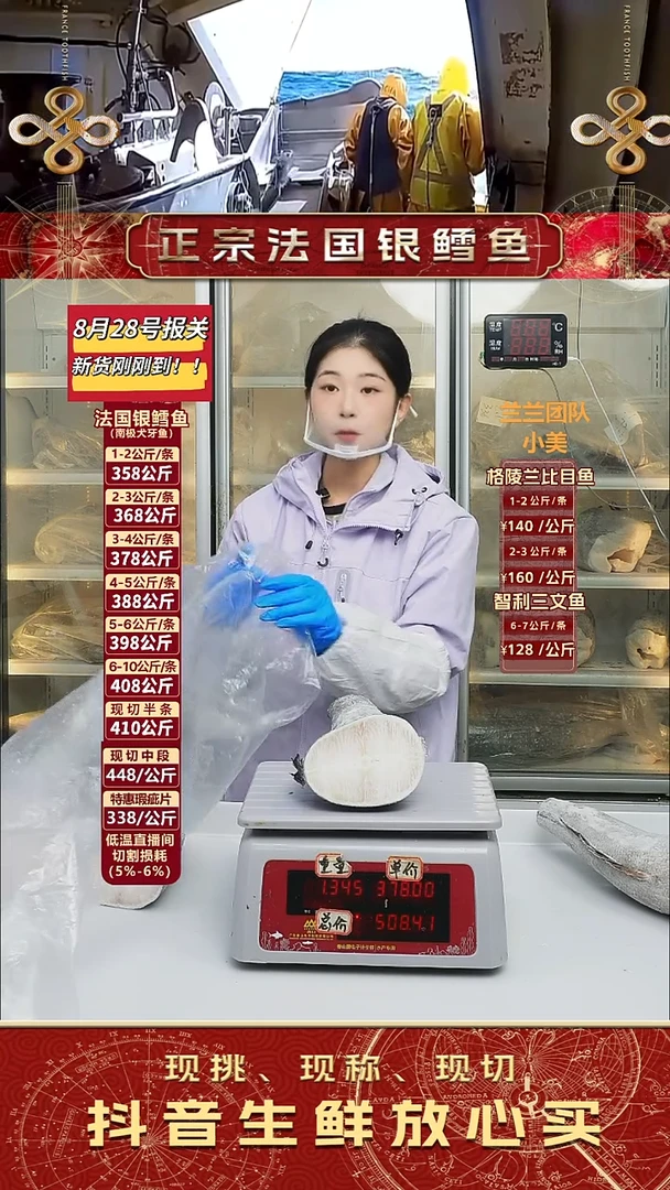 法国银鳕鱼下半福利鱼1.34kg