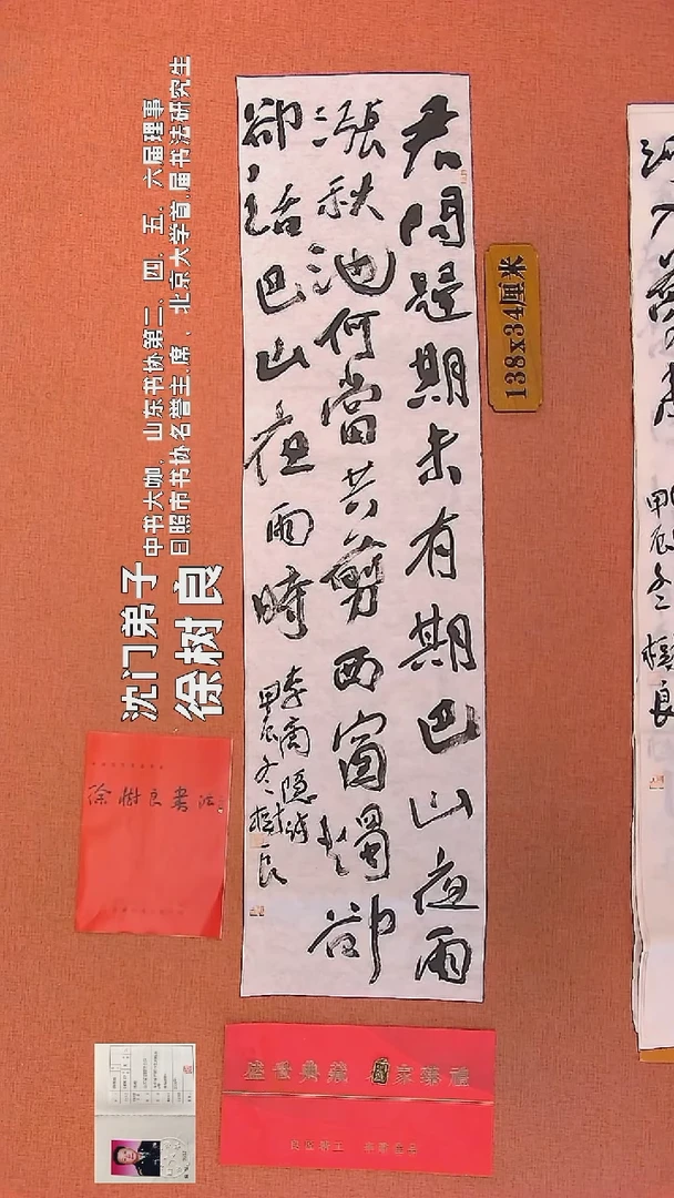 【闪购商品】书法123    徐树良书法作品