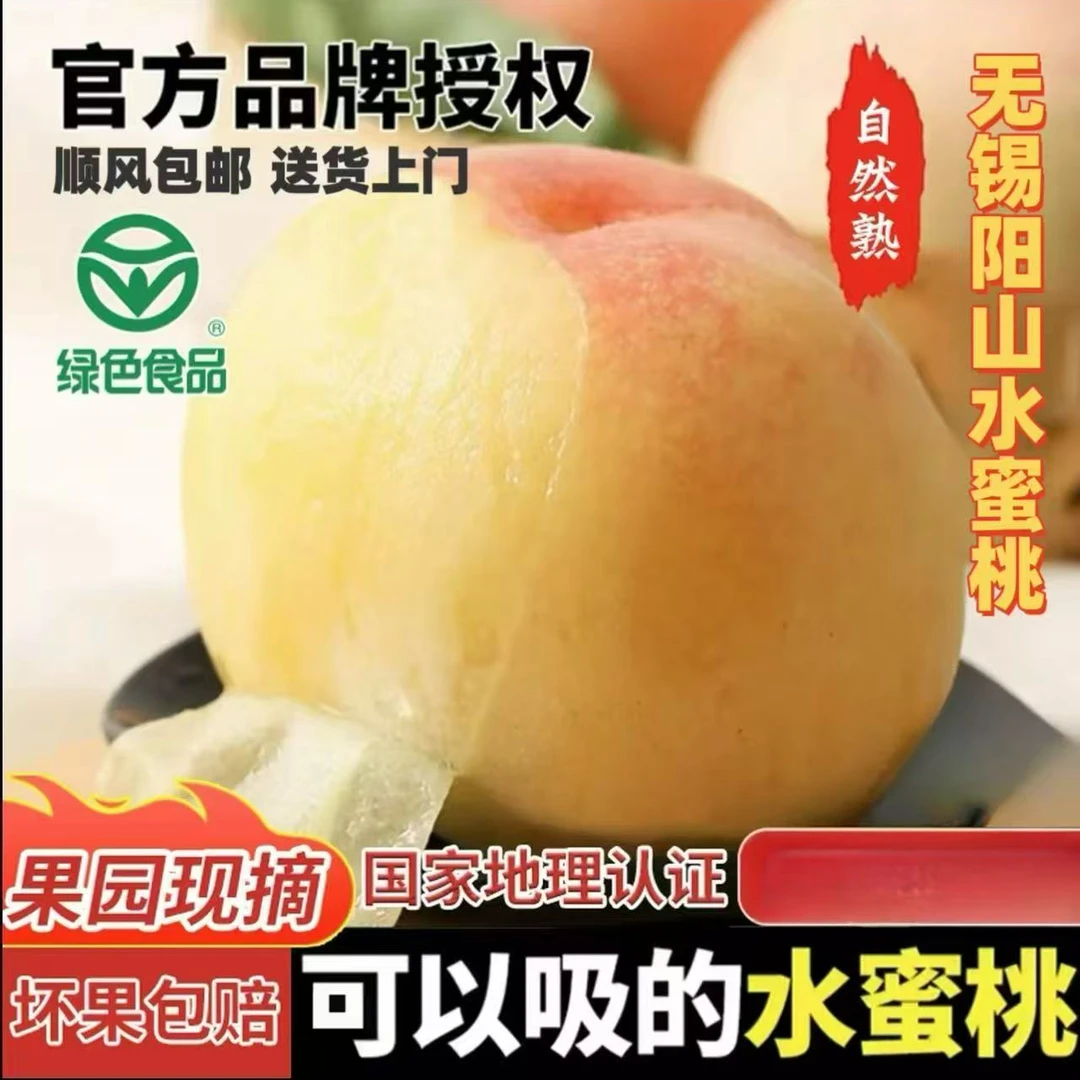 【升级7-6两】正宗无锡阳山白凤水蜜桃当季新鲜水果脆软甜多汁江苏省