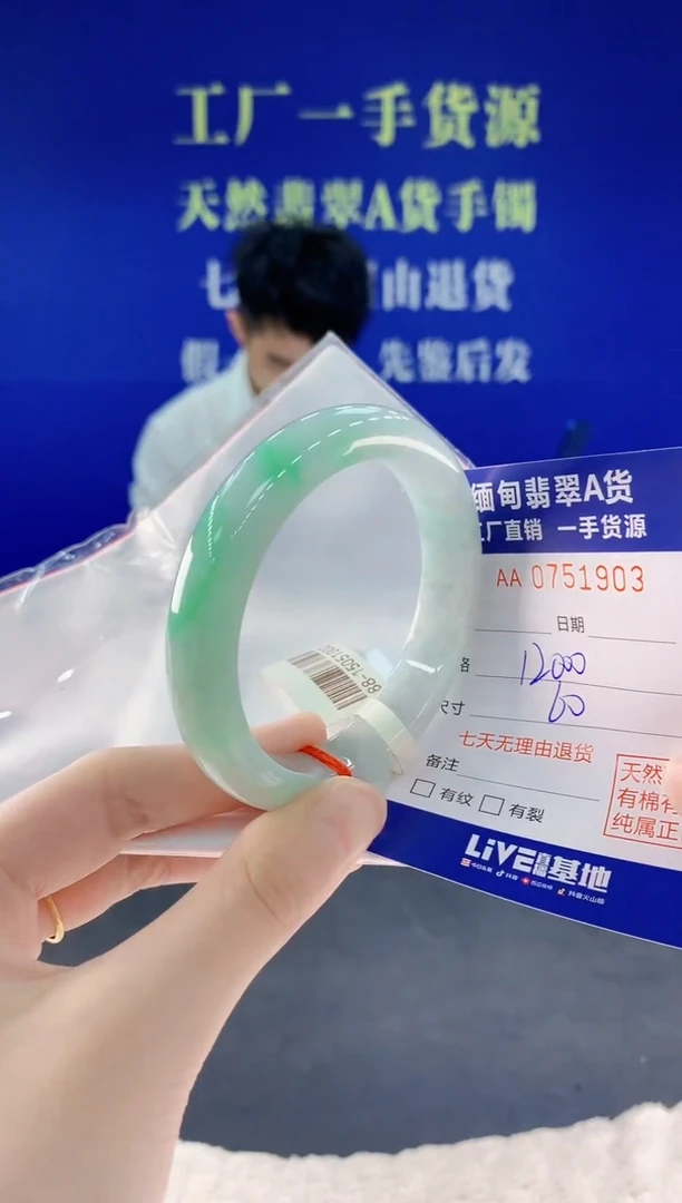 未镶嵌手镯翡翠03天然翡翠A货