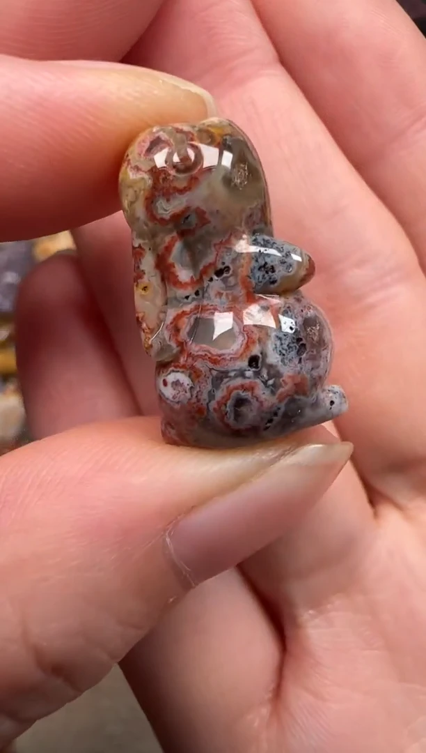 硅化珊瑚（珊瑚玉）未镶嵌颈饰104