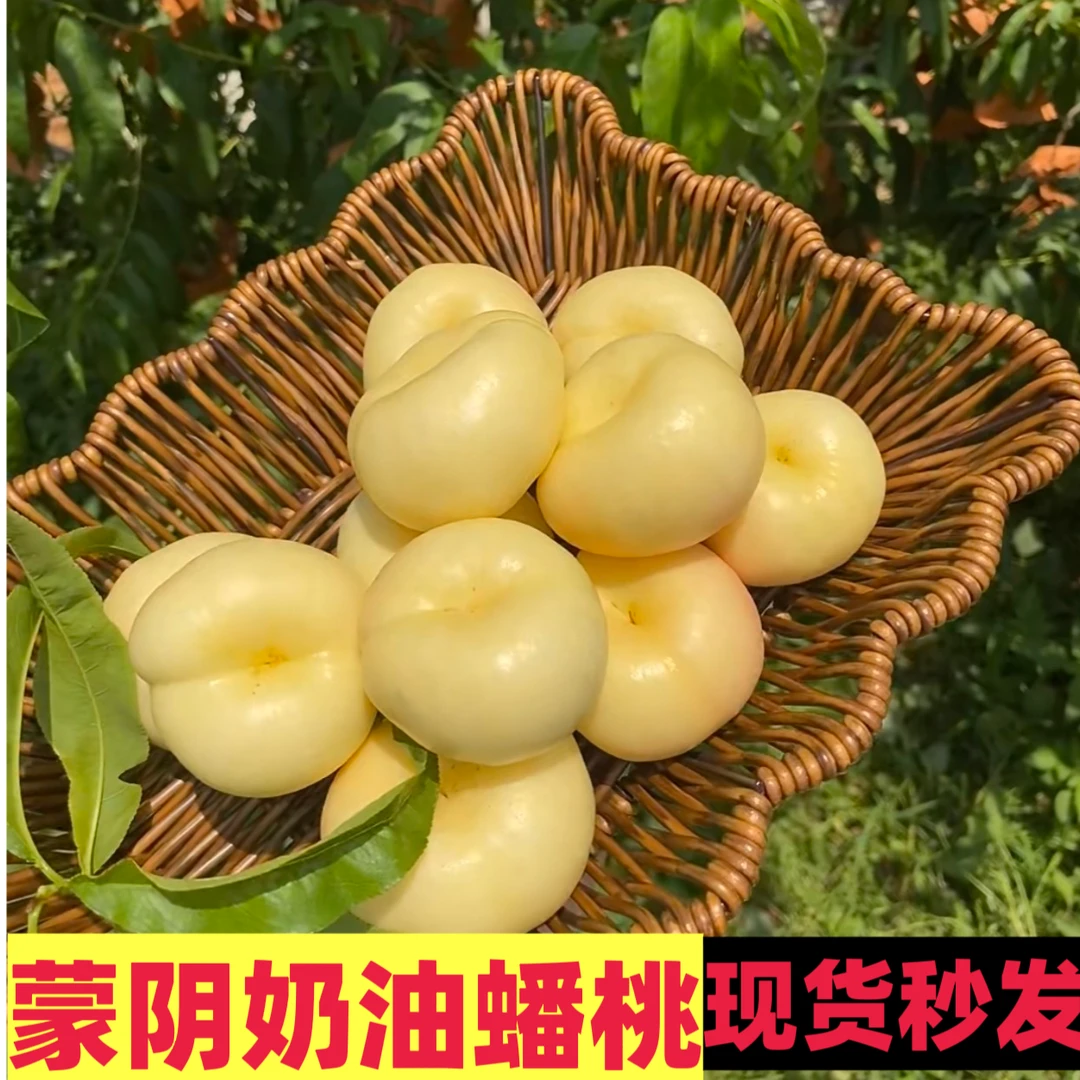【顺丰包邮】现货奶油蟠桃当季热卖新鲜白玉蟠桃扁油蟠桃皮薄多汁