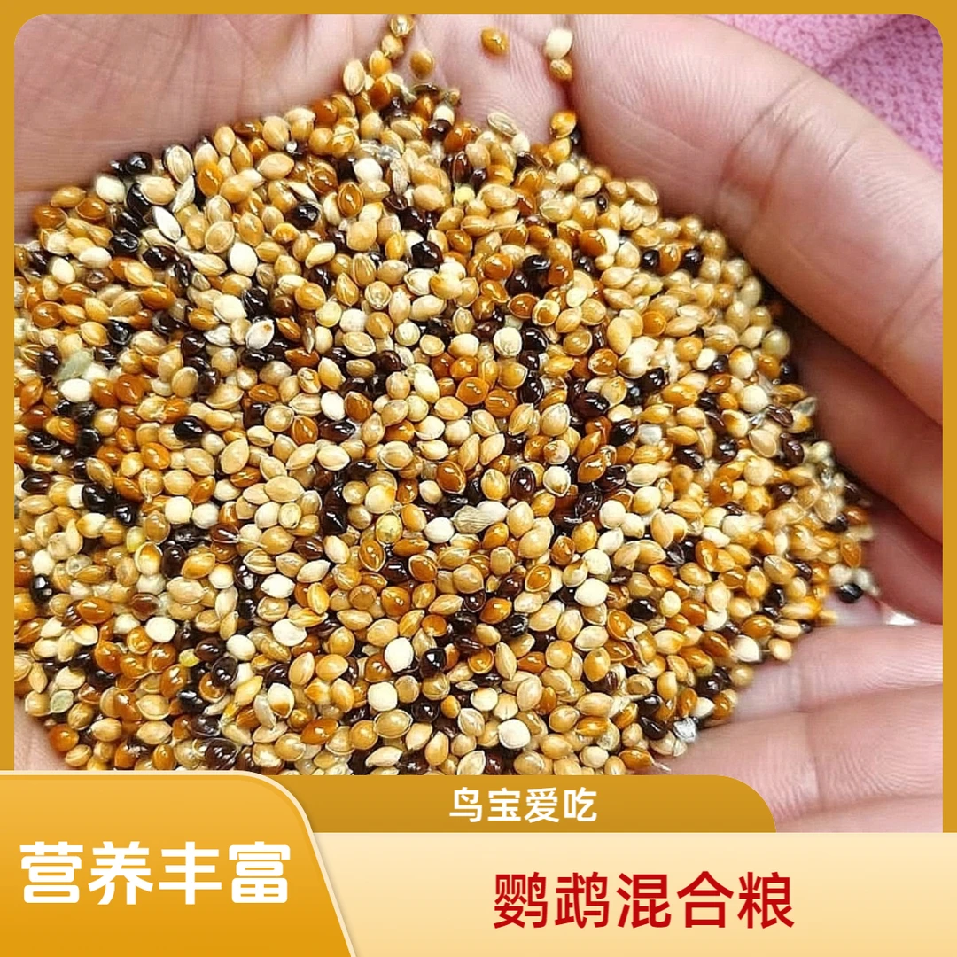 新鹦鹉鸟粮营养混合鸟粮谷子鸟食饲料