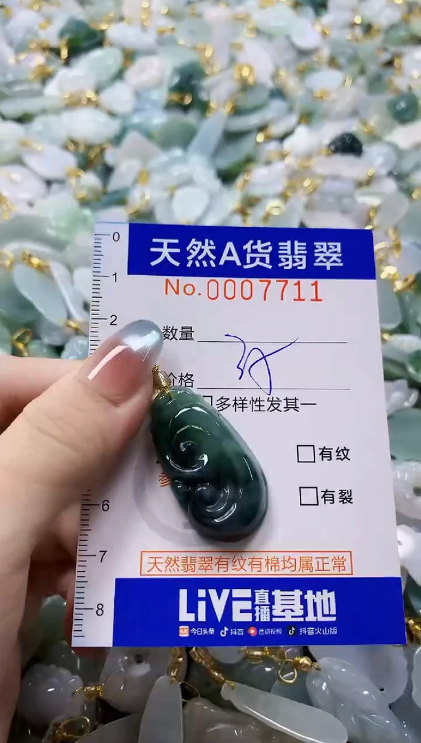 颈饰未镶嵌翡翠纯天然a货翡翠