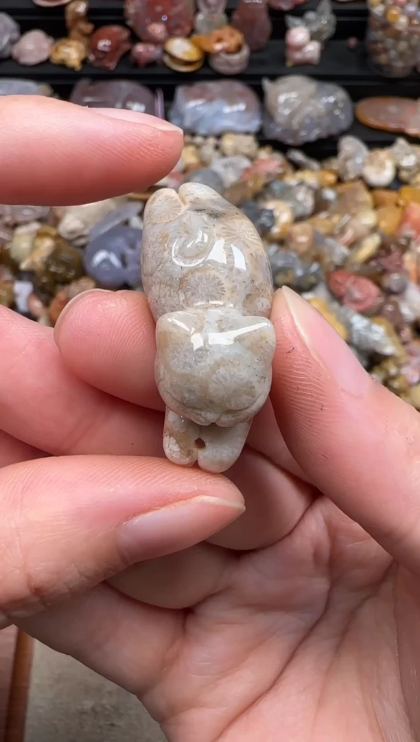 硅化珊瑚（珊瑚玉）未镶嵌颈饰294