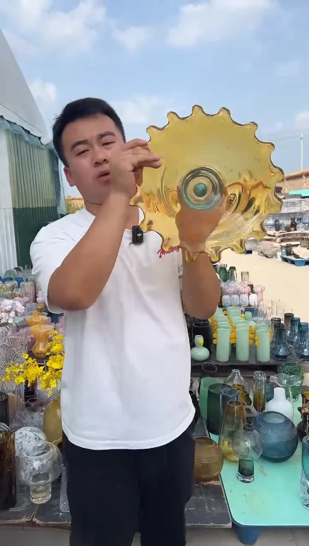 花瓶客厅餐桌插花装饰好物