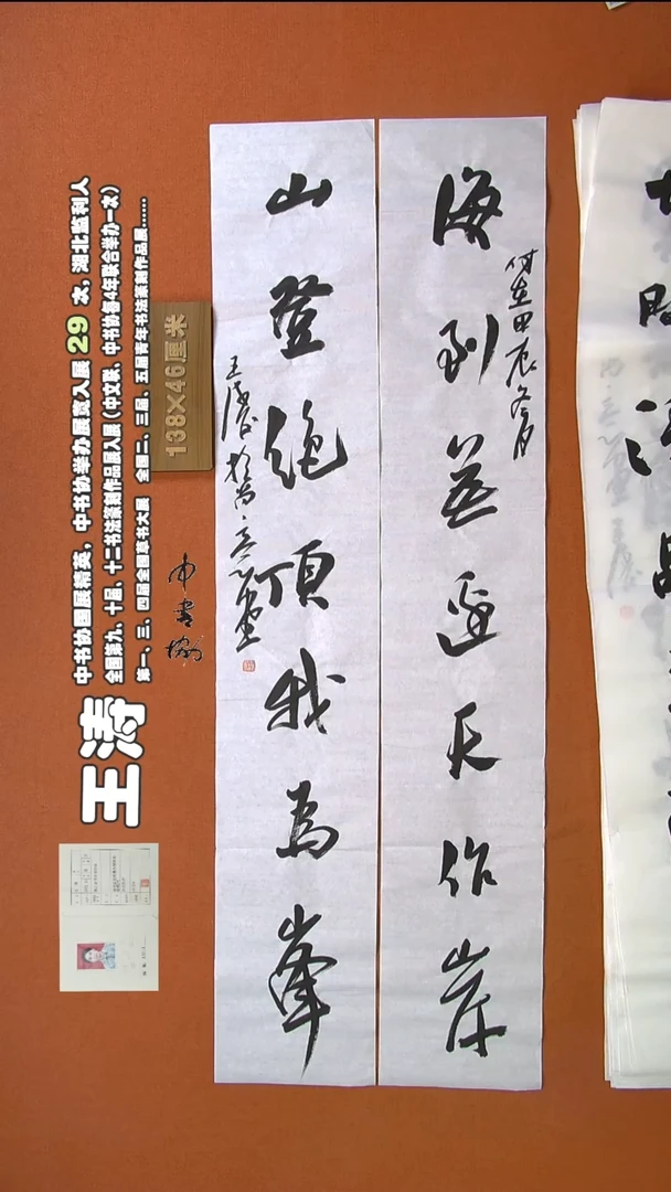 【闪购商品】书法144王涛书法作品