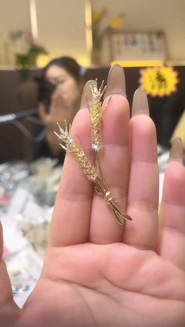 锆石铁合金精品饰界