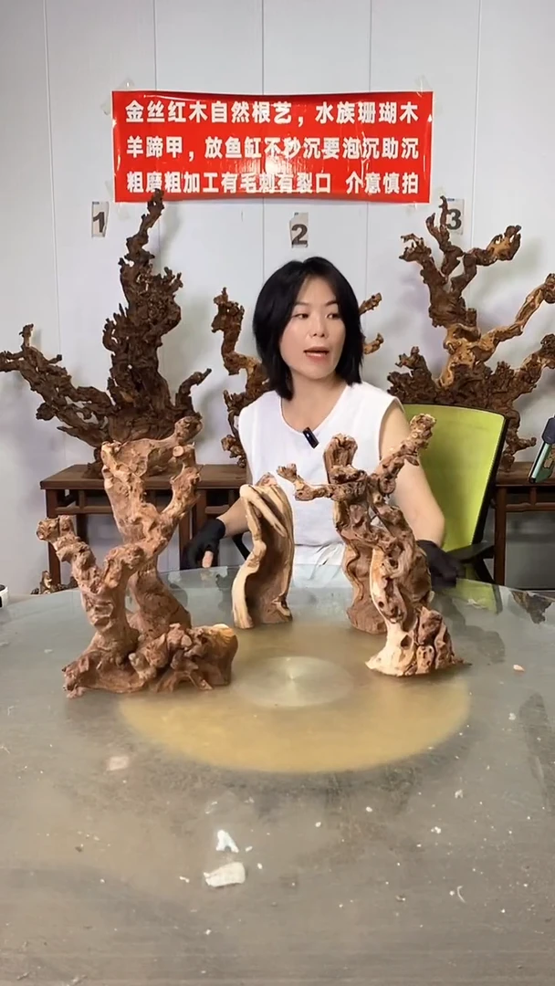 香榧木念**奴金丝红木   羊蹄甲