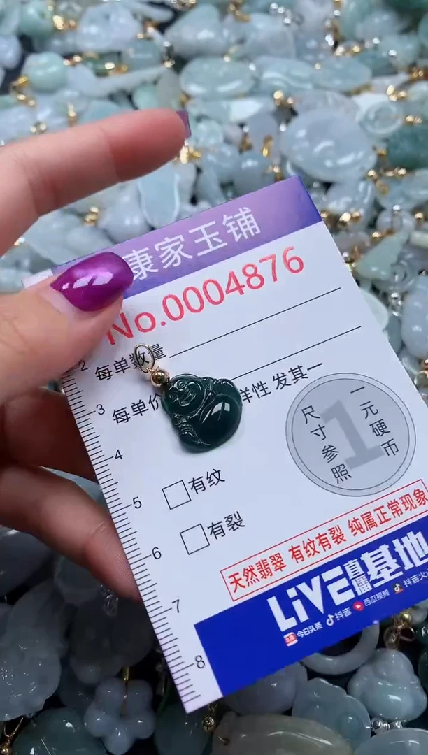 颈饰未镶嵌翡翠4876