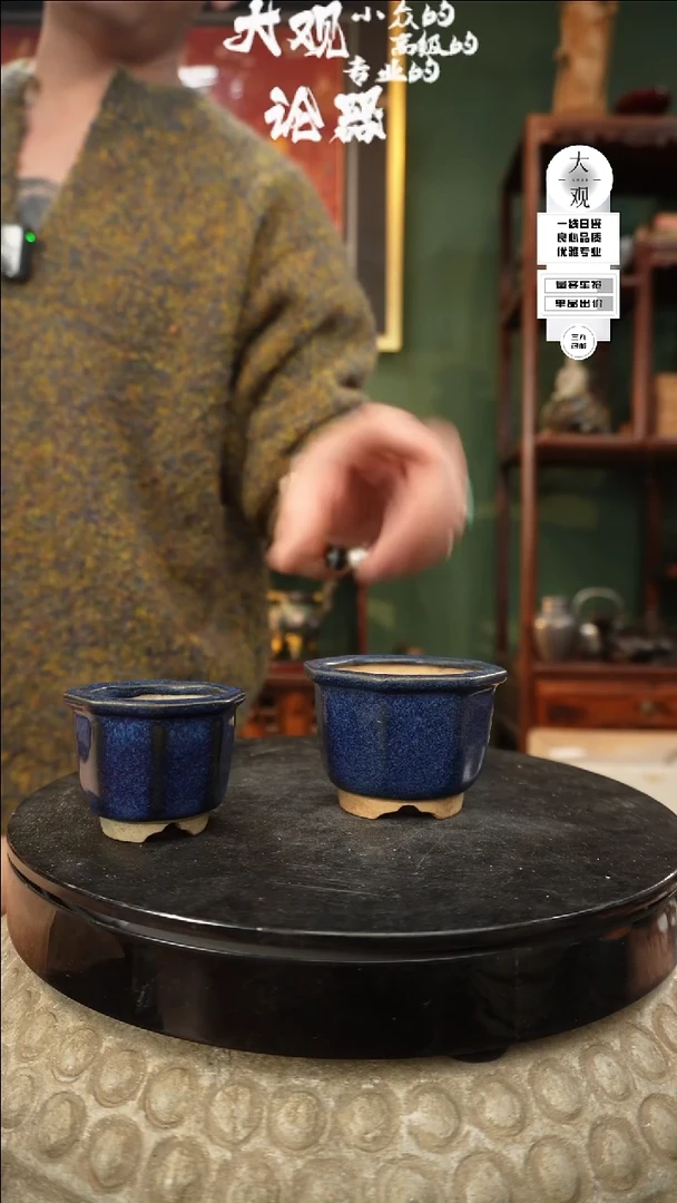 【闪购商品】瓷片大观论器两只