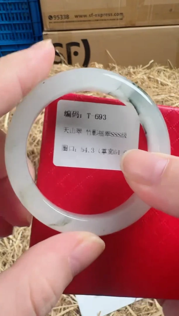 未镶嵌手镯石英质玉T-693