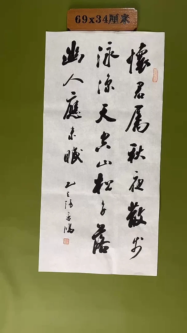 书法书法 张若鸿 尺寸69cm*34cm