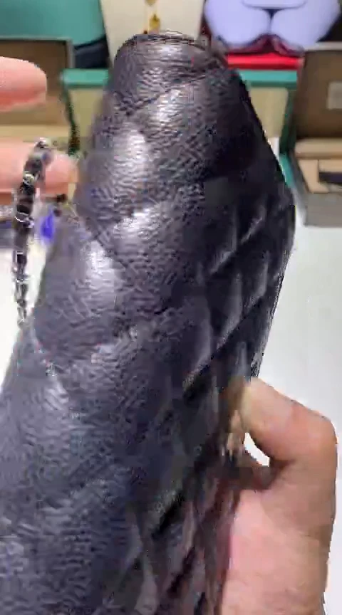 瓷片生活的本意就是开心@@1