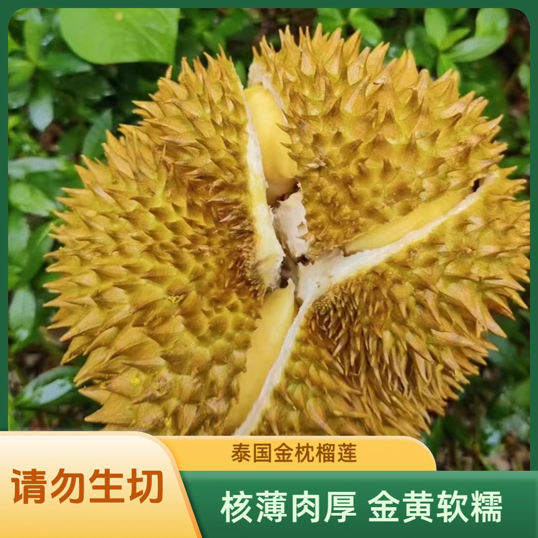 XL【一物一拍 云贵川专属】泰国金枕榴莲老树榴莲A果请勿生切