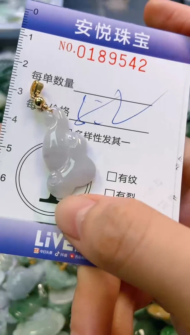 翡翠未镶嵌颈饰闪购0189542