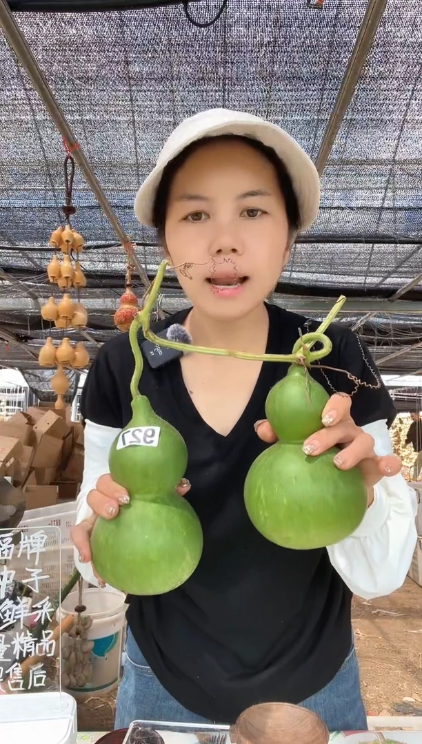 927天然葫芦摆件 一物一拍龙头不保售后