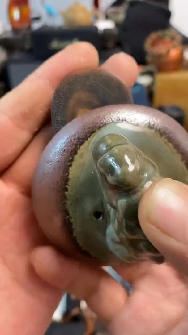 瓷片闪购商品，如图所示