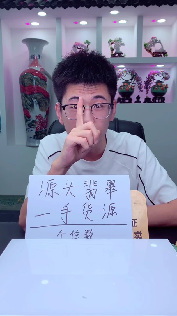 翡翠未镶嵌颈饰黑*?天然翡翠（拍一发一）