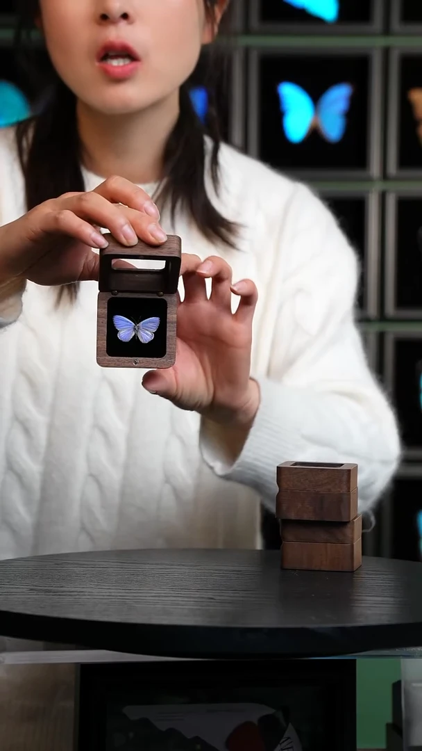 珍贵妩灰蝶胡桃木