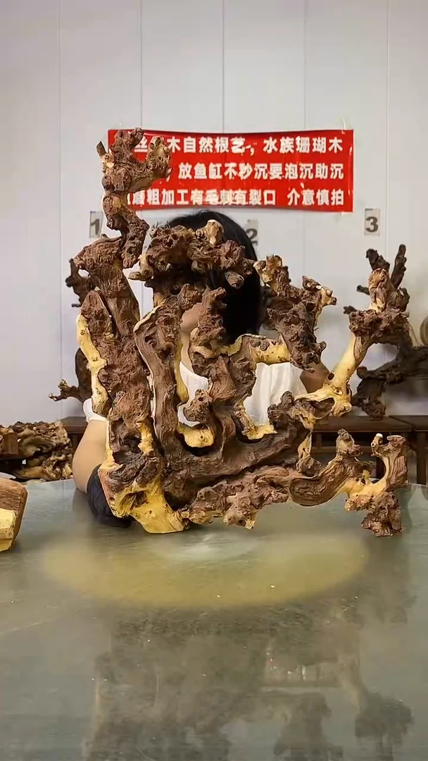香榧木长****行金丝红木   羊蹄甲