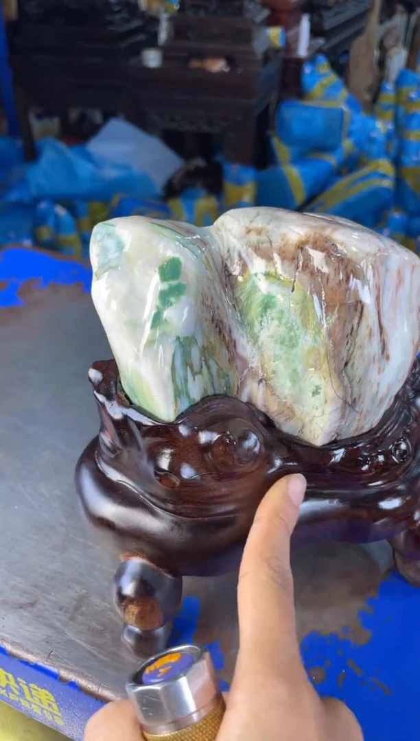 未镶嵌摆件硅化玉21