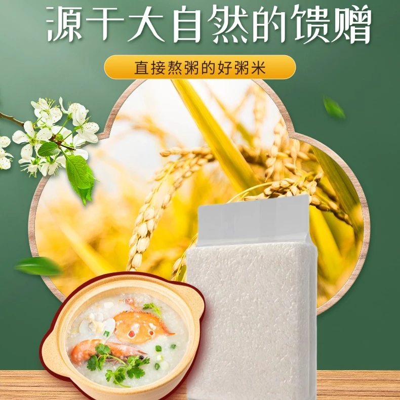 当季新米  香稻粥米