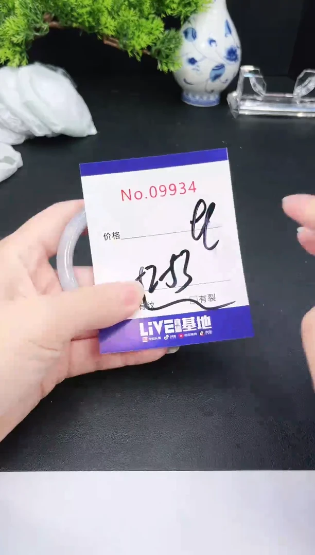 未镶嵌手镯翡翠9934