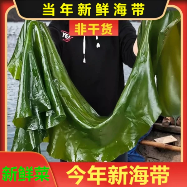 【娥哥专属】大连新鲜凉拌盐渍嫩海带5斤/箱（含箱5斤）鲜嫩营养产品