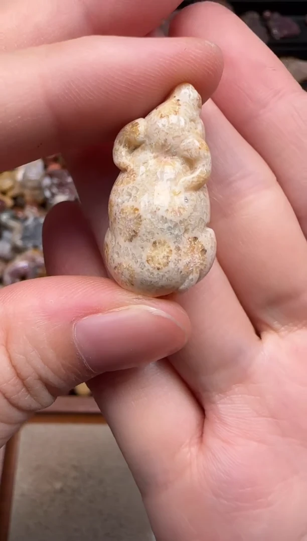 硅化珊瑚（珊瑚玉）未镶嵌颈饰454