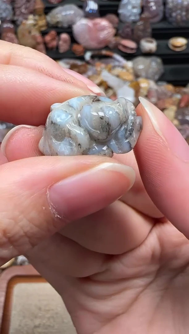 颈饰未镶嵌硅化珊瑚（珊瑚玉）786